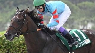 【小倉大賞典枠順確定】ヤマニンウルスは7枠11番、エピファニーは5枠7番