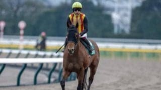 【フェブラリーS枠順確定】コスタノヴァは5枠9番、ミッキーファイトは7枠14番