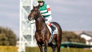 【ダイヤモンドS枠順確定】ヘデントールは4枠8番、ワープスピードは1枠1番