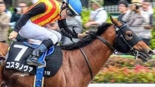 フェブラリーS過去10年 前走根岸S組が狙い目も明暗分ける“前走着順”