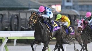 【浦和・ユングフラウ賞枠順】地方2歳女王のプラウドフレールは8枠12番