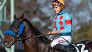 一族に活躍馬ズラリ サトノフラッグ＆サトノレイナスの甥が4連勝でOP入り狙う