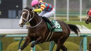 京都芝はキズナ産駒を狙え 阪急杯はアサカラキングの逃げ切りだ