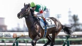 【ダイヤモンドS予想】特殊な条件で波乱の可能性も十分！ 厳寒期は前走からの間隔がポイント