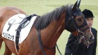 三冠牝馬ジェンティルドンナの半妹 距離延長で初勝利つかめるか