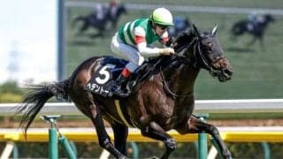 【今日の注目ポイント】東京でダイヤモンドSと京都で阪急杯 深夜にはサウジカップデー