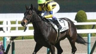 【阪急杯予想】高松宮記念への前哨戦 今年から京都外1400mが舞台に