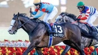 【ダイヤモンドS予想】3400mの先に輝く人馬は 特殊な条件だけに「格」より「適性」重視で