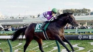 【競馬予想】フェブラリーＳで注目の血統は「ミスプロ系」　ダートで抜群の安定感を誇る２頭に期待