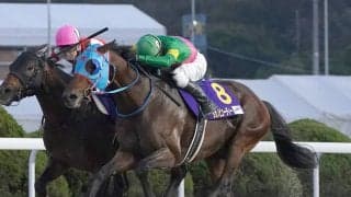 【競馬予想】フェブラリーＳ、ハイペースの消耗戦が予想される今年も末脚自慢の伏兵が高配当を運んでくる