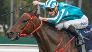 史上初の偉業なるか 賞金王が挑む初ダートでのサウジカップ制覇