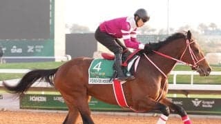 【競馬予想】１着賞金15億円のサウジカップ、勝つのはフォーエバーヤングか、ロマンチックウォリアーか