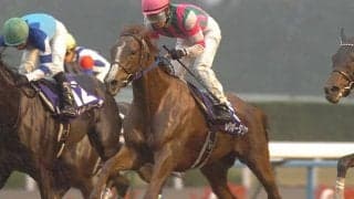 12年エリザベス女王杯覇者レインボーダリアの仔が初陣 母に産駒初勝利を届けるか