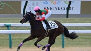 【京都4R新馬戦結果】シニスターミニスター産駒アクアマリーナが5馬身差で圧勝