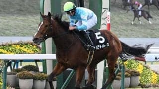 【つばき賞結果】パラディレーヌが人気に応えて2連勝