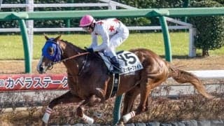 【フェブラリーS予想】タイトな競馬になりやすいGIで超大型馬は不利!? 前走馬体重の傾向から導き出された危険馬とは