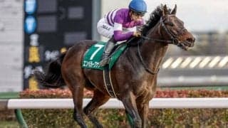 【フェブラリーS前日オッズ】エンペラーワケアが4.0倍で1番人気