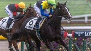 母は名牝アパパネ 良血馬が復活＆待望の2勝目狙う
