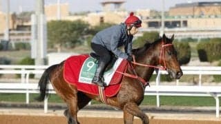 【サウジCオッズ】日本と香港のエースが人気分け合う 国内外ともに差が無く