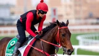 【サウジカップ】C.シャム師「すべてが順調」ロマンチックウォリアーの初ダート挑戦や如何に！？…日本のフォーエバーヤングらと激突