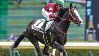 【サウジダービー結果】初ダートのシンフォーエバー逃げて2着 UAEのゴールデンヴェコマがV