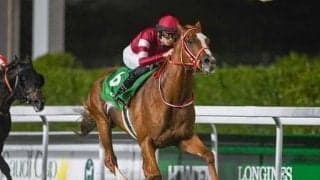 【ネオムターフC結果】シンエンペラーが逃げ切り海外重賞初V！ 武豊騎手騎乗のアルリファー3着