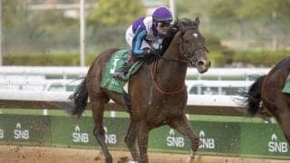 【リヤドダートスプリント】笹川「スタートが悔やまれます」兵庫イグナイターは11着