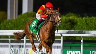 【レッドシーターフH結果】ビザンチンドリームが突き抜け海外重賞初V！ 日本勢3連勝！