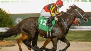 【1351ターフスプリント結果】アスコリピチェーノが接戦制す！ 2着ウインマーベルで日本勢ワンツー