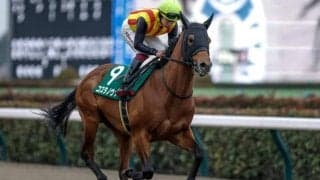 【今日の注目ポイント】ダートのマイル王決定戦フェブラリーS