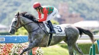 【小倉大賞典予想】2月の小倉開催を飾る一戦 1番人気＆トップハンデ不振で今年も波乱か