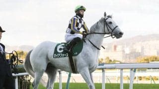 【競馬予想】好メンバーが集ったフェブラリーＳ、実績がありながら人気薄の２頭が爆発の予感