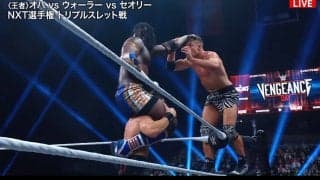 「なんてこった！」2.5メートルから“真っ逆さま落下”で悶絶…命綱無しの“リアル・フリーフォール”に会場騒然「狂ってる」