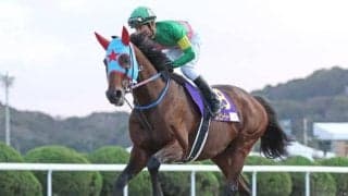 【フェブラリーS予想】「人気」「枠」「ローテ」「脚質」狙いは？ 過去データから探るGIフェブラリーS