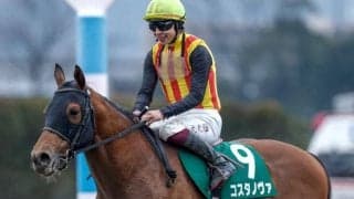 【フェブラリーS】東京ダートは脚質の有利不利なし 差し馬に出番ありの展開か