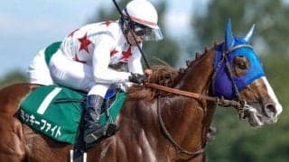 【フェブラリーS・馬体重】ミッキーファイトは550kg(-5)、コスタノヴァは494kg(-2)