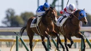 【東京5R】グーテンベルクがデビュー2連勝