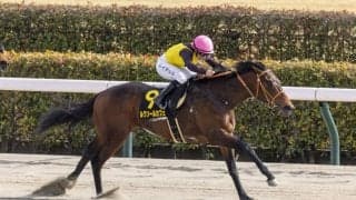 【ヒヤシンスS】キング騎乗 ルクソールカフェが3連勝…出遅れプロミストジーンは2着