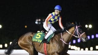 【かきつばた記念】G1馬シャマルは5枠5番へ