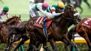 中山記念、チューリップ賞など3重賞/今週の競馬界の見どころ