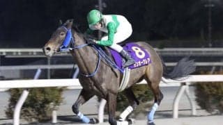 【高知・レジーナディンヴェルノ賞】兵庫サンオークレアが2馬身半差快勝