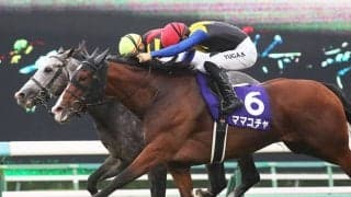 【オーシャンS登録馬】ママコチャなど16頭…春の中山が開幕