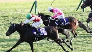 【チューリップ賞登録馬】ビップデイジーなど17頭…桜花賞トライアル
