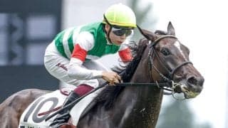 【チューリップ賞見どころ】ポテンシャル高いマイエレメントが重賞奪取だ