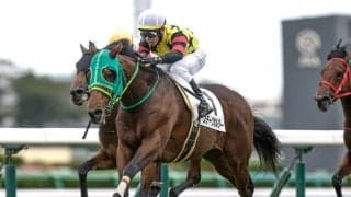 【オーシャンS見どころ】充実一途のステークホルダーが中心