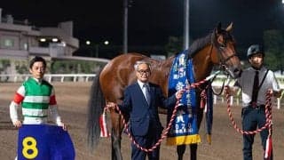 【25年の新種牡馬たち】GI/JpnI・4勝挙げたクリソベリル 産駒にはダート三冠路線での活躍期待