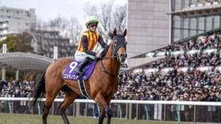 【フェブラリーS】売上は162億1853万8100円で昨年より約3.8億円減少