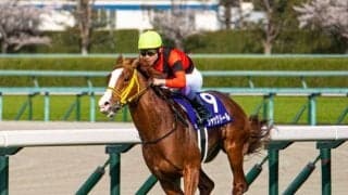 【先週のJRA抹消馬】23年大阪杯覇者ジャックドール、ダート重賞2勝のグロリアムンディなど