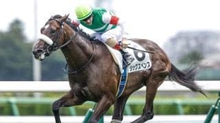 【AI予想・中山記念】前走のレース格と4角での位置取りが勝敗を左右!? 中山実績を重視した人工知能の本命候補