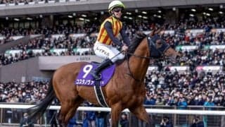 ロードカナロア産駒の「ダート向きに転化しやすい配合パターン」とは コスタノヴァのGI勝利を機に深堀り